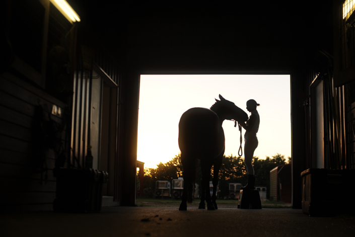 Barn horse photo at centerline distribution