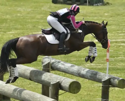 StressLess Horse Supplement for Riding Competition