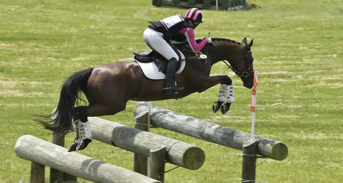 StressLess Horse Supplement for Riding Competition