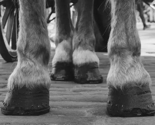 StressLess Labor Day Special