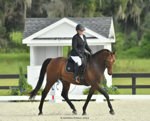 Charley in competition