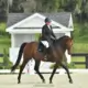 Charley in competition