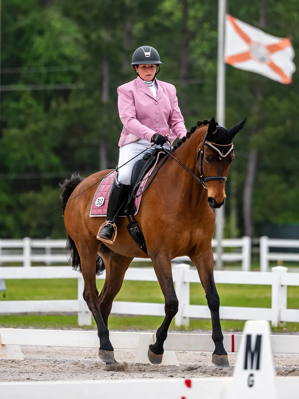 Charley in freestyle competition