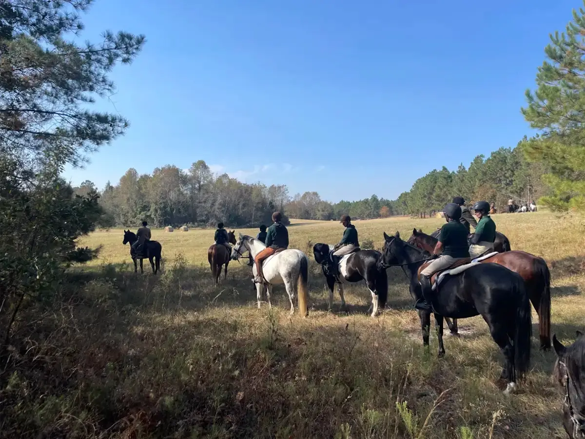 Horse Supplements For Fox Hunting