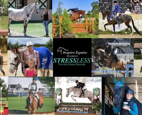 StressLess Horse Supplement - Real Riders Real Results