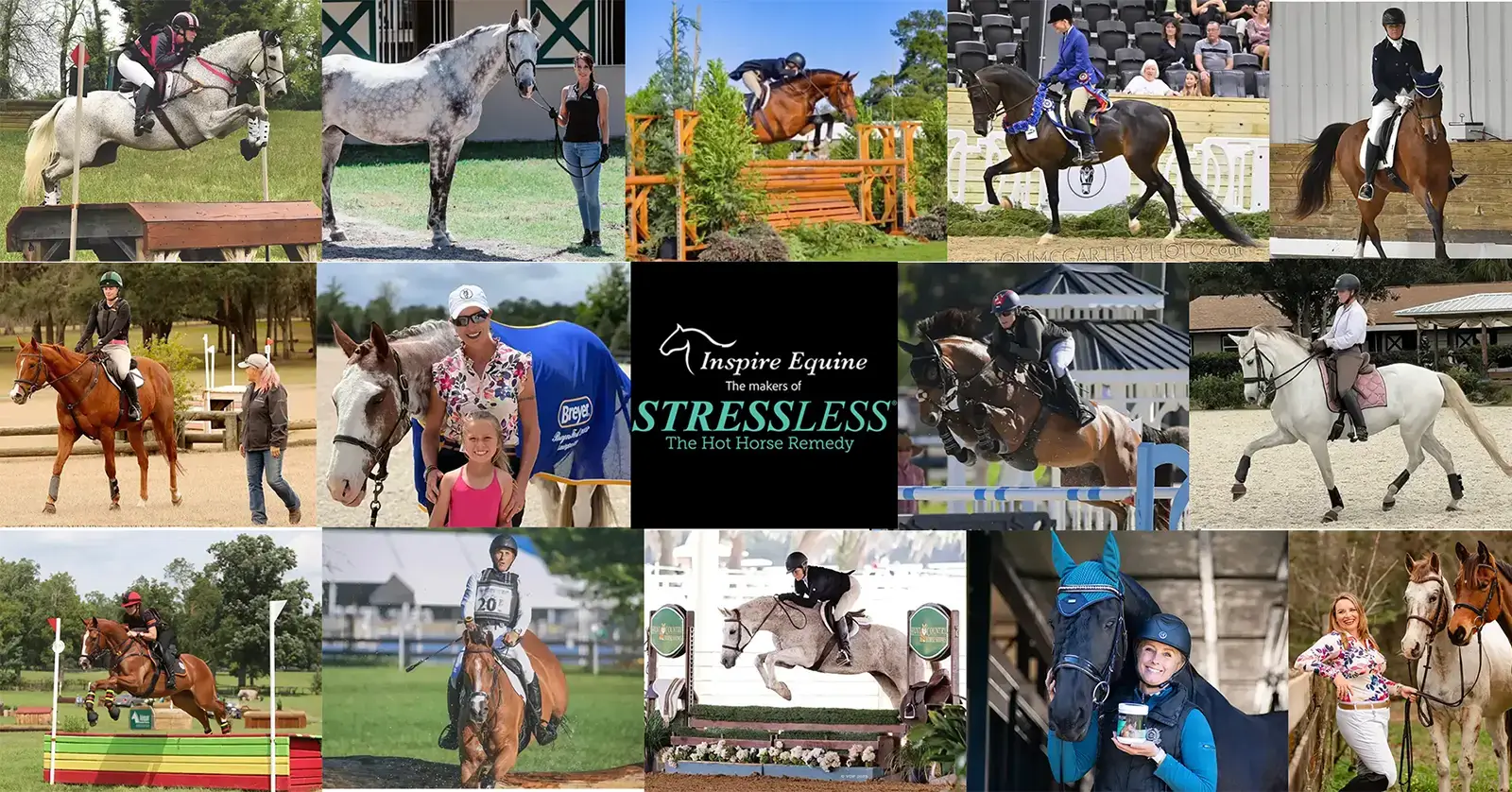 StressLess Horse Supplement - Real Riders Real Results