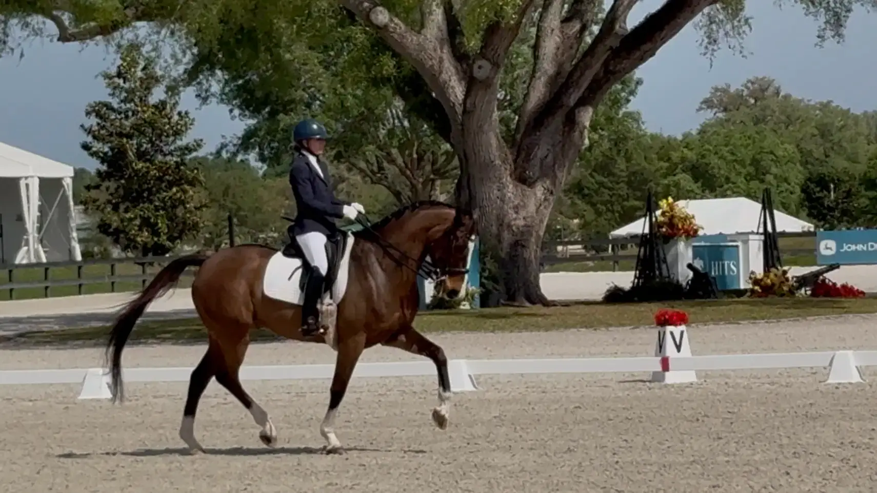 Ambassador Profile - Suzaane LaPorte