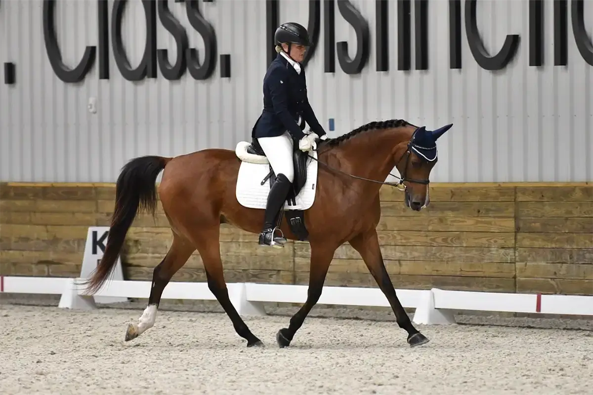 Lauri Salmi - StressLess Horse Supplement Ambassador