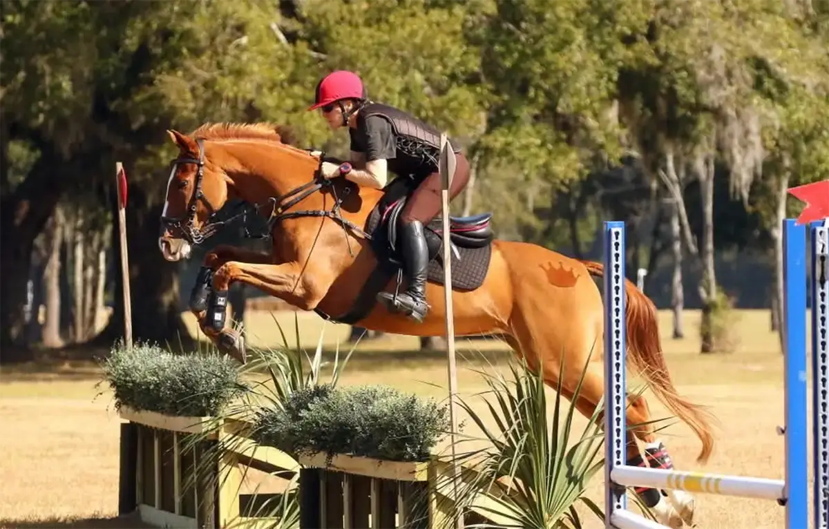 Lisa Travis - StressLess Calming Horses Supplement Ambassador