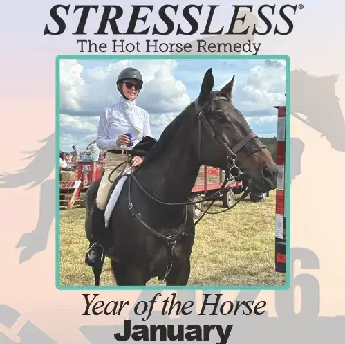 Year Of The Horse - January