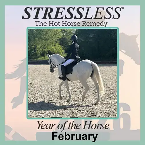 Year Of The Horse - February