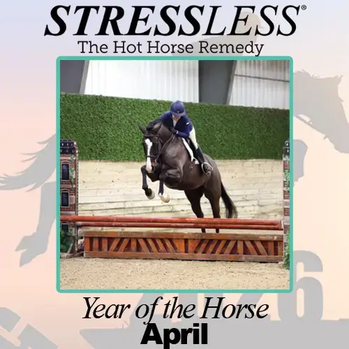 Year of the Horse - April