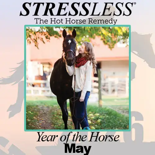 Year of the Horse - May Year of the Horse - May