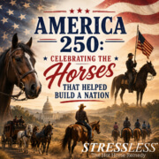 America 250: Celebrating the Horses That Helped Build a Nation Illustration celebrating America's 250th anniversary featuring horses that helped build the nation, including cavalry riders, trail riders, stagecoaches, and patriotic red, white, and blue imagery.
