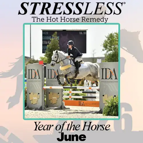 Year of the Horse - June