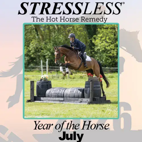 Year of the Horse - July Year of the Horse - July