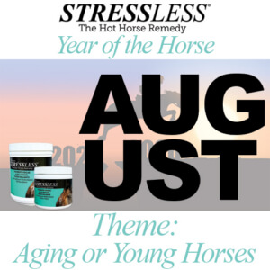 Year of the Horse - August Theme Year of the Horse - August