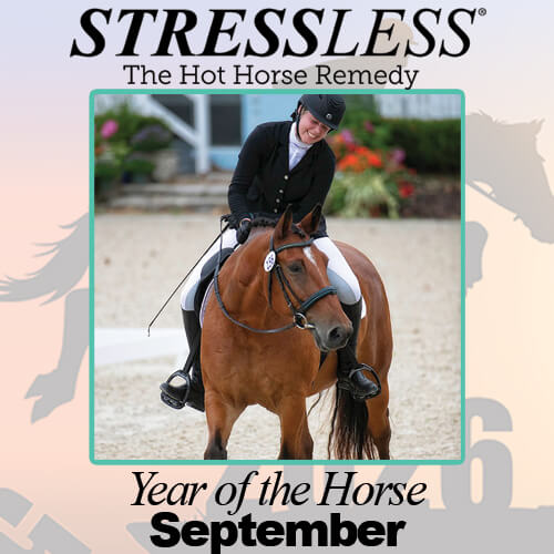 Year of the Horse - September